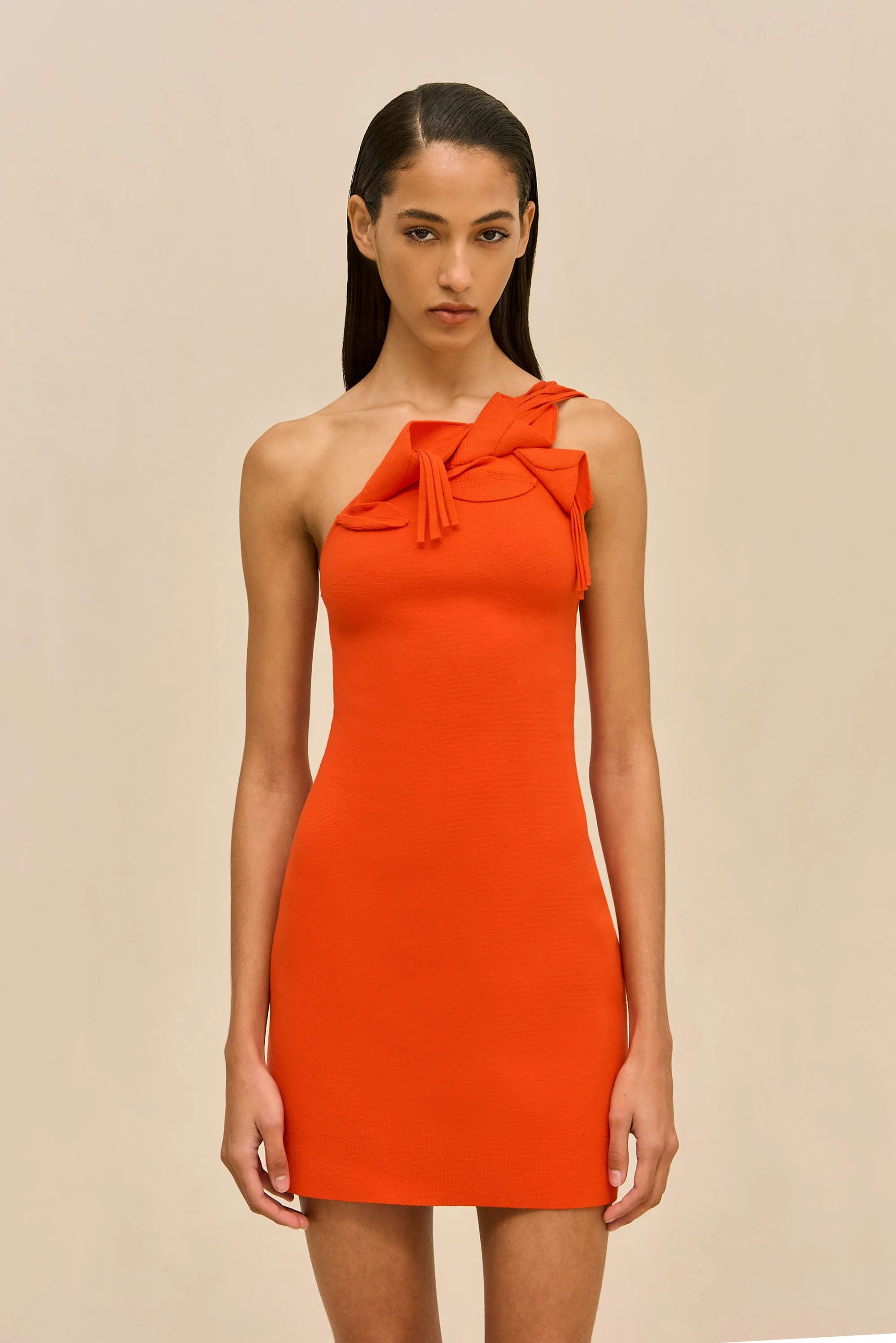 CAMELIA KNIT DRESS